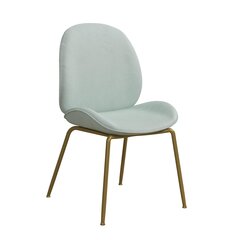 Обеденный стул CosmoLiving от Cosmopolitan Astor, синий цвет цена и информация | Стулья для кухни и столовой | hansapost.ee