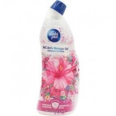 Ambi pur tualettruumi puhastusvahend (750 ml) price and information | Cleaning products | hansapost.ee