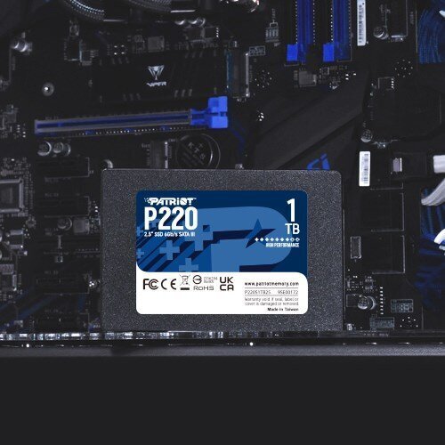 Patriot P220, 1TB (P220S1TB25) hind ja info | Sisemised kõvakettad | hansapost.ee