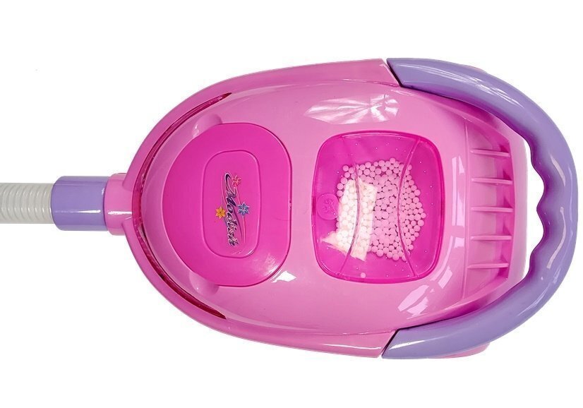 Laste puhastuskomplekt Lean Toys, roosa цена и информация | Mänguasjad tüdrukutele | hansapost.ee