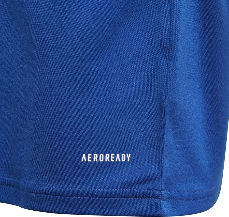 T-särk Adidas Squadra 21, sinine hind ja info | Jalgpalli varustus ja riided | hansapost.ee