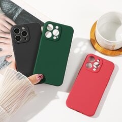 Silicone, iPhone 13 Pro, roosa цена и информация | Чехлы для телефонов | hansapost.ee