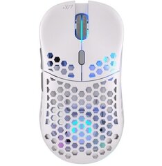 Endorfy LIX Plus Onyx White Wireless цена и информация | ENDORFY Компьютерная техника | hansapost.ee