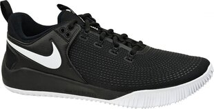 Спортивные ботинки для мужчин Nike цена и информация | Кроссовки для мужчин | hansapost.ee
