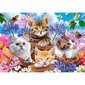 Puzzle 500 Kittens with Flowers 53513 цена и информация | Pusled lastele ja täiskasvanutele | hansapost.ee