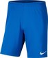 Nike Park III Knit Jr lühikesed püksid poistele, sinine hind ja info | Lühikesed püksid poistele | hansapost.ee