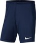 Nike Park III Knit Jr lühikesed püksid poistele, sinine цена и информация | Lühikesed püksid poistele | hansapost.ee