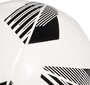Jalgpall Adidas Tiro Club цена и информация | Jalgpalli pallid | hansapost.ee
