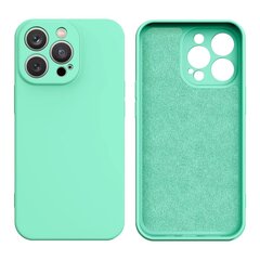 Silicone, iPhone 13 Pro, roheline price and information | Phone protective covers and cases | hansapost.ee