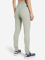 Женские спортивные брюки Icepeak ALTHAR, серо-зеленый цвет цена и информация | Спортивная одежда для женщин | hansapost.ee
