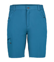 Мужские шорты Icepeak BERWYN, бирюзовый цвет цена и информация | Icepeak Для мужчин | hansapost.ee