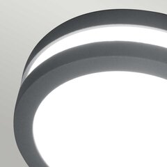 Настенный светильник для улицы Elstead Lighting Ano ANO-1W цена и информация | Уличные светильники | hansapost.ee