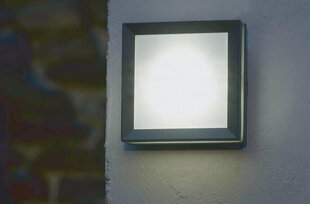 Настенный светильник для улицы Elstead Lighting Egil EGIL-1W цена и информация | Уличное освещение | hansapost.ee