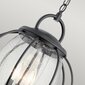 Rippuv välisvalgusti Elstead Lighting Vandalia KL-VANDALIA8-L цена и информация | Aiavalgustid ja õuevalgustid | hansapost.ee