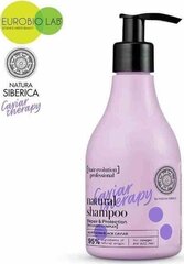 Šampoon kahjustatud ja kulunud juustele Natural Siberian Caviar Therapy, 245 ml hind ja info | Šampoonid | hansapost.ee