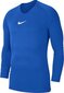 Särk Nike JR Dry Park, sinine цена и информация | Jalgpalli varustus ja riided | hansapost.ee