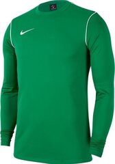 Футболка Nike Park 20, зеленая цена и информация | Футбольная форма и другие товары | hansapost.ee