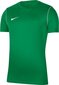 T-särk Nike JR Park 20, roheline hind ja info | Jalgpalli varustus ja riided | hansapost.ee