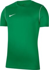 Футболка Nike JR Park 20, зеленая цена и информация | Nike Товары для спорта | hansapost.ee