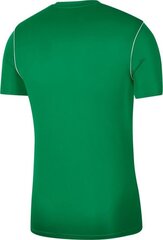 Футболка Nike JR Park 20, зеленая цена и информация | Футбольная форма и другие товары | hansapost.ee