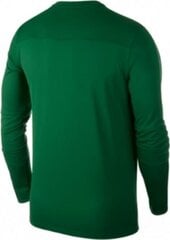 T-särk Nike JR Park 18, roheline hind ja info | Jalgpalli varustus ja riided | hansapost.ee