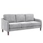 Diivan Marbella Loveseat, hall hind ja info | Diivanvoodid ja diivanid | hansapost.ee