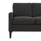 Diivan Kaci Loveseat, hall цена и информация | Diivanvoodid ja diivanid | hansapost.ee