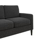 Diivan Kaci Loveseat, hall hind ja info | Diivanvoodid ja diivanid | hansapost.ee