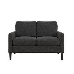 Диван Kaci Loveseat, серый цвет цена и информация | Диваны | hansapost.ee