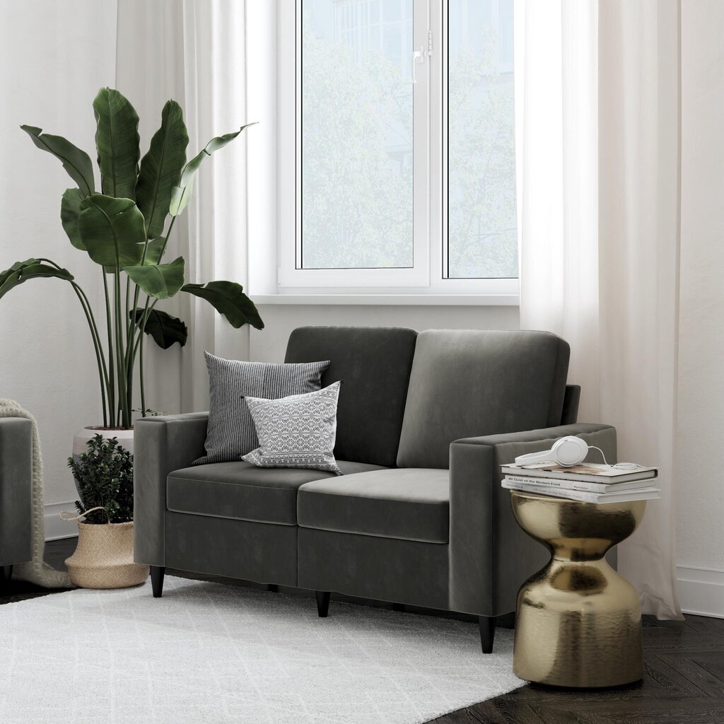 Diivan Cooper Loveseat, hall цена и информация | Diivanvoodid ja diivanid | hansapost.ee