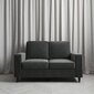 Diivan Cooper Loveseat, hall hind ja info | Diivanvoodid ja diivanid | hansapost.ee