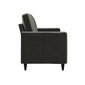 Diivan Cooper Loveseat, hall hind ja info | Diivanvoodid ja diivanid | hansapost.ee