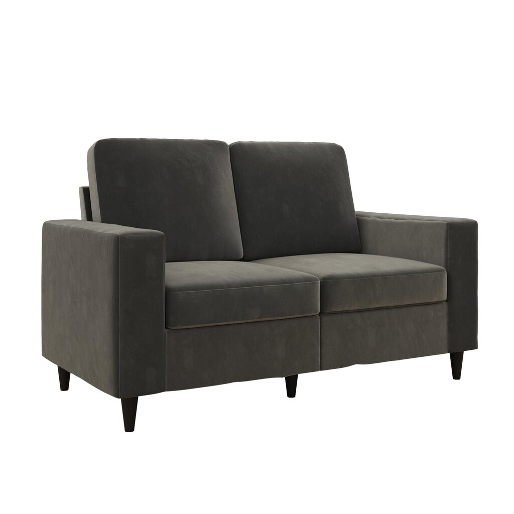 Diivan Cooper Loveseat, hall hind ja info | Diivanvoodid ja diivanid | hansapost.ee