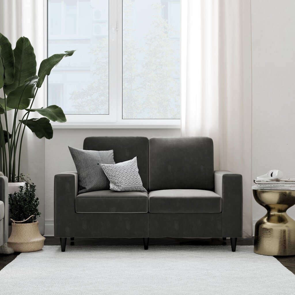 Diivan Cooper Loveseat, hall цена и информация | Diivanvoodid ja diivanid | hansapost.ee