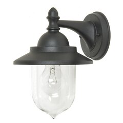 Настенный наружный светильник Elstead Lighting Sandown GZH-SDN2 цена и информация | Уличные светильники | hansapost.ee