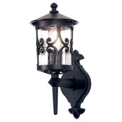 Уличный настенный светильник Elstead Lighting Hereford BL10-BLACK цена и информация | Уличные светильники | hansapost.ee