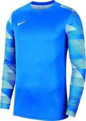 Джемпер Nike Y Park IV GK Boys CJ6072 463, синий цена и информация | Футбольная форма и другие товары | hansapost.ee