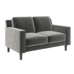 Диван Brynn Loveseat, серый цвет цена и информация | Диваны | hansapost.ee