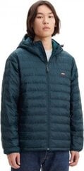 Мужская куртка Levi`s, зеленая цена и информация | Мужские куртки | hansapost.ee