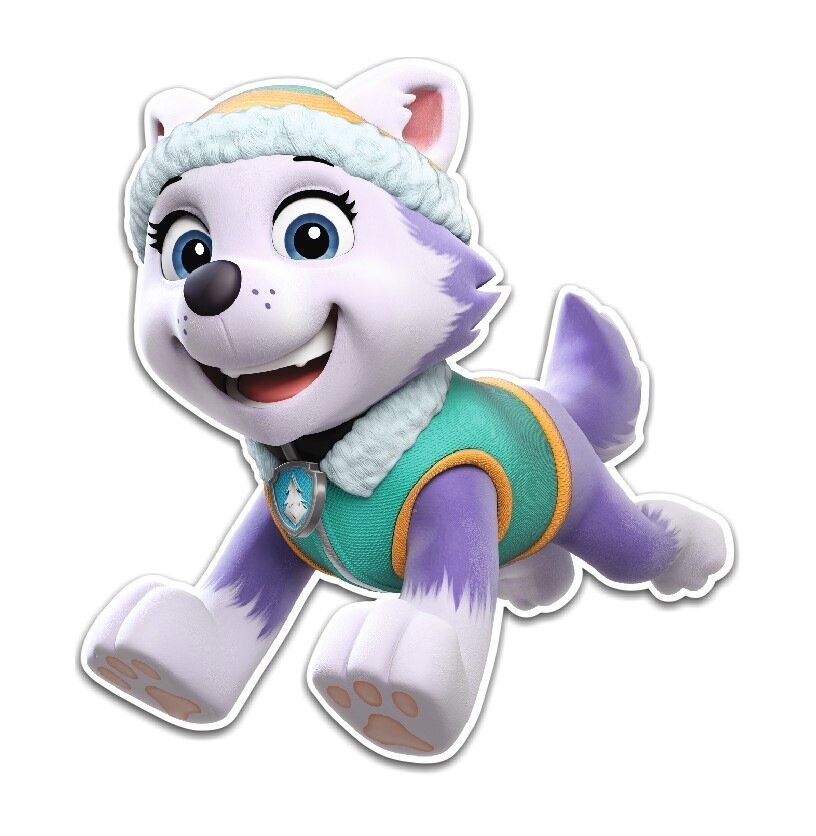 Kahekihiline seinakaunistus Paw Patrol - Everest hind ja info | Seinakleebised | hansapost.ee