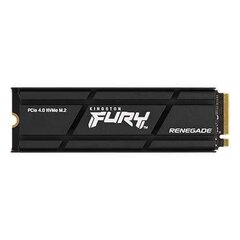 Kingston FURY Renegade, 1 ТБ (SFYRSK/1000G) цена и информация | Внутренние жёсткие диски (HDD, SSD, Hybrid) | hansapost.ee