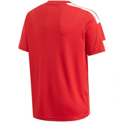 Футболка для мальчиков Adidas Squadra 21 Jersey Youth Jr GN5746 цена и информация | Adidas Одежда для мальчиков | hansapost.ee