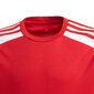 T-särk Adidas Squadra 21 Jersey Youth Jr GN5746 hind ja info | Särgid poistele | hansapost.ee