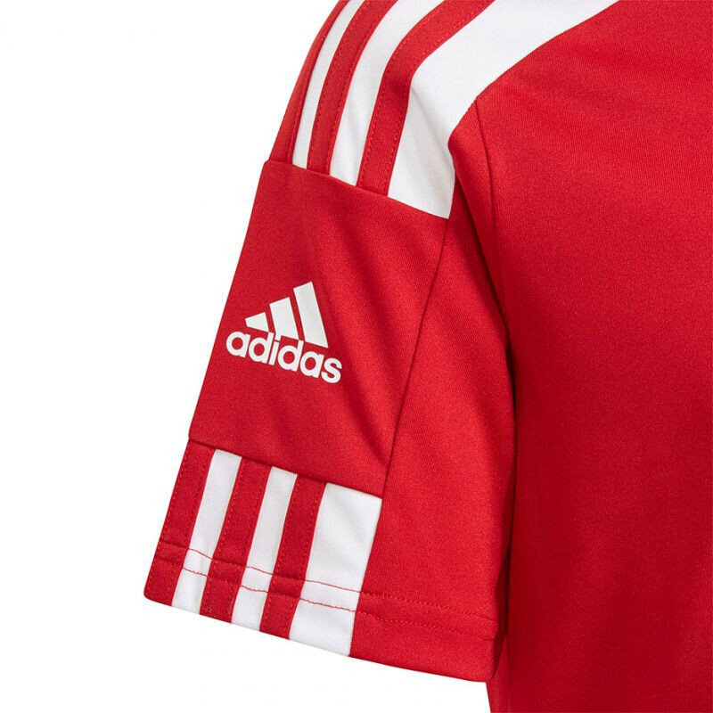 T-särk Adidas Squadra 21 Jersey Youth Jr GN5746 цена и информация | Särgid poistele | hansapost.ee