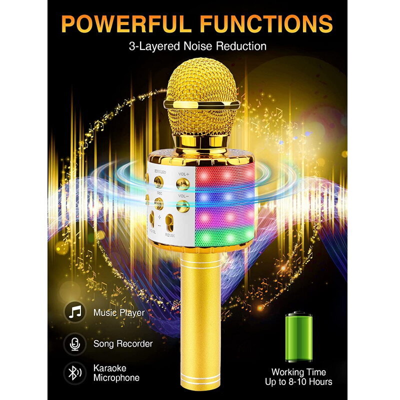 Riff WS-858 цена и информация | Mikrofonid | hansapost.ee