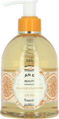 Vedelseep Vivian Gray Naturals Orange Blossom, 250 ml hind ja info | Vivian Gray Kehahooldustooted | hansapost.ee