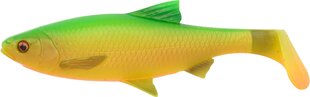 Резиновая приманка SG 3D LB River Roach Paddle 7,5 см 5г Firetiger цена и информация | Воблеры, приманки, блесны | hansapost.ee