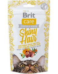 Brit Care Cat Snack Shiny Hair 50g hind ja info | Kasside maiused | hansapost.ee