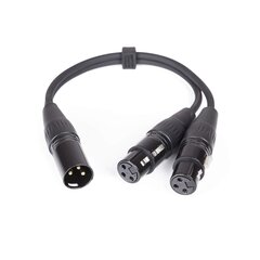 Y tipo adapteris Master Audio CY100 цена и информация | Кабели и провода | hansapost.ee