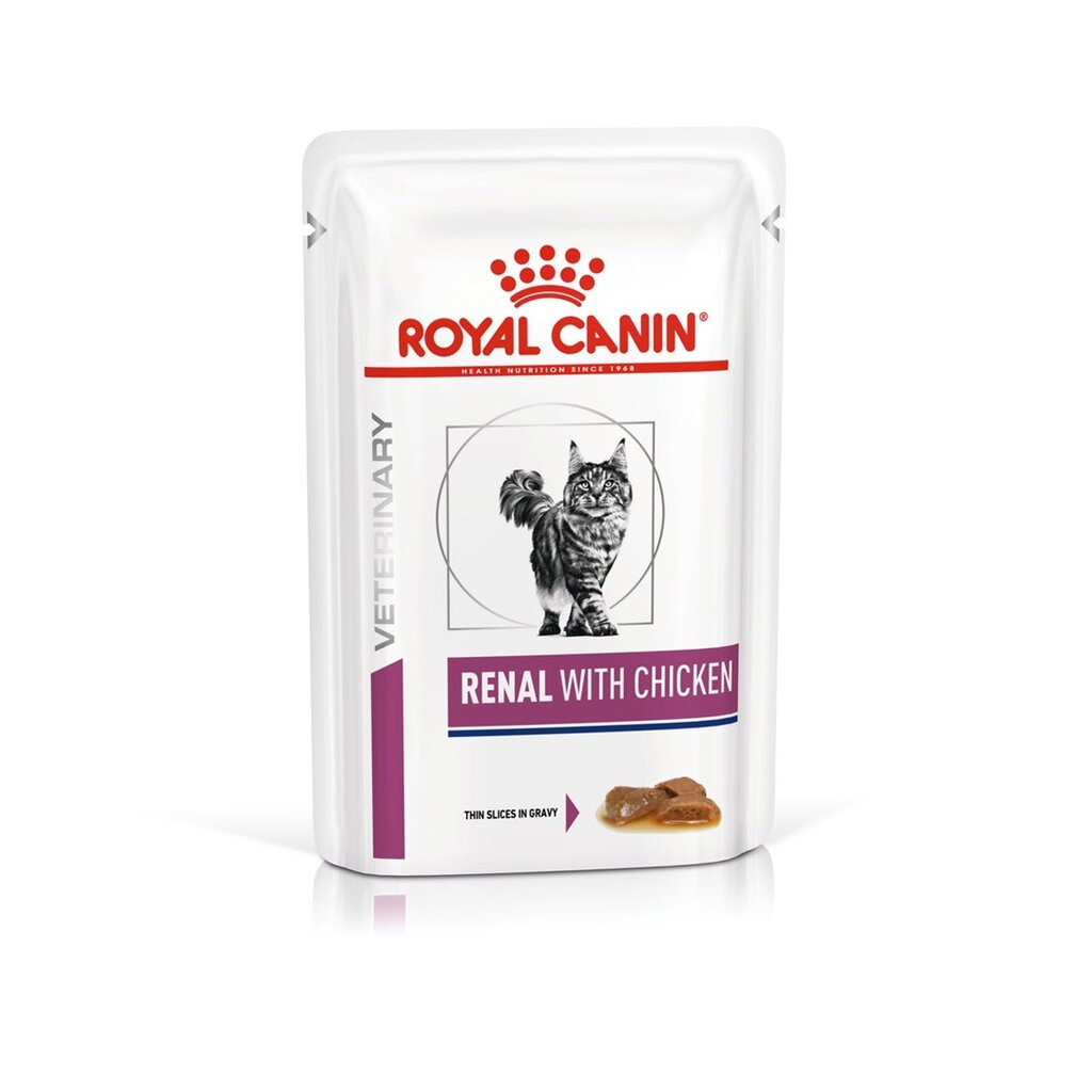 Royal Canin kanaga Renal Feline, 12 x 85 g hind ja info | Kassikonservid | hansapost.ee